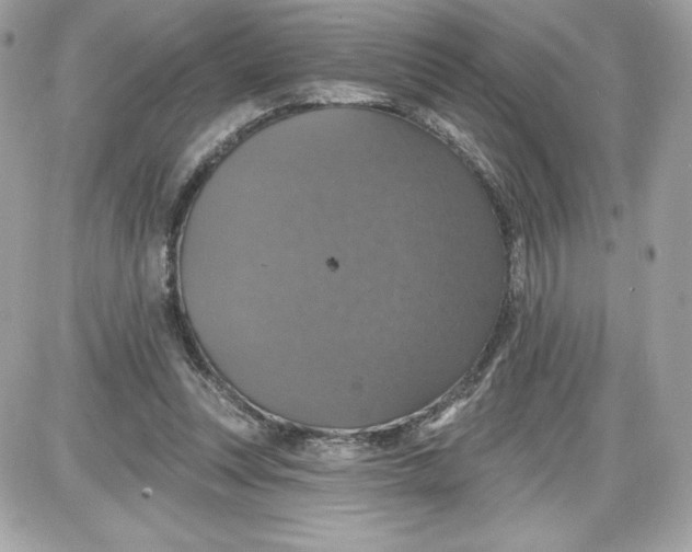 X0000087410351200705111857