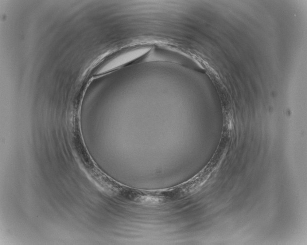 X0000087410352200705111857