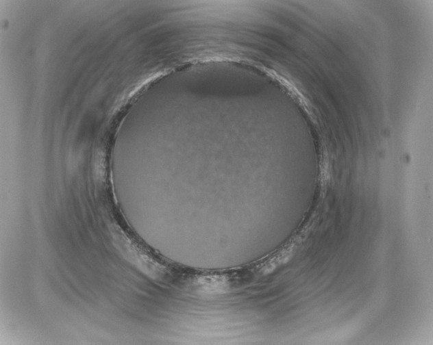 X0000087410353200705111857