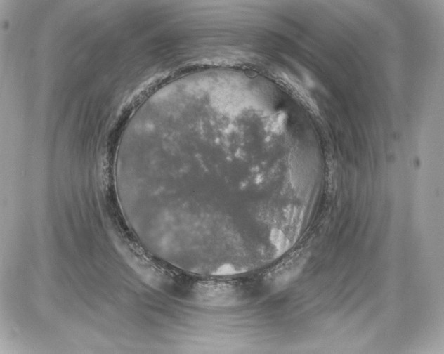 X0000087410354200705111857