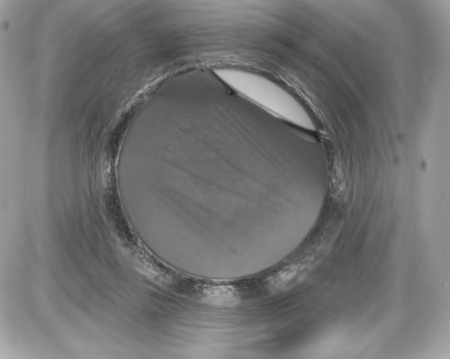 X0000087410355200705111857