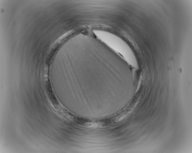 X0000087410356200705111857