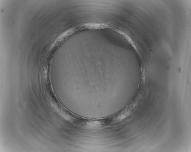 X0000087410357200705111857