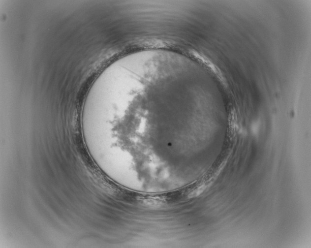 X0000087410359200705111857