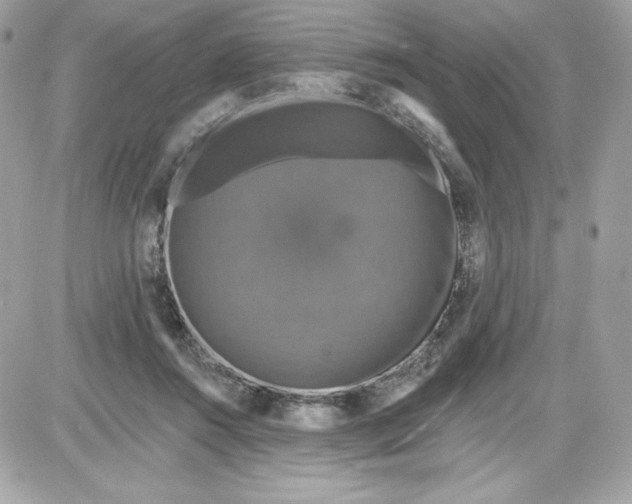 X0000087410360200705111857