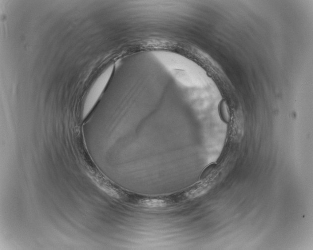 X0000087410361200705111857