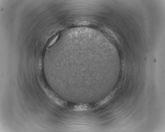 X0000087410362200705111857