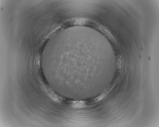 X0000087410363200705111857