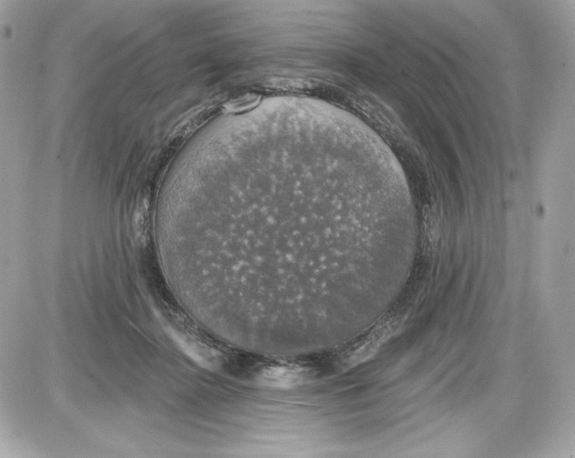 X0000087410364200705111857