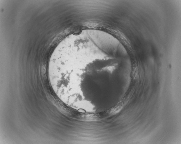 X0000087410365200705111857