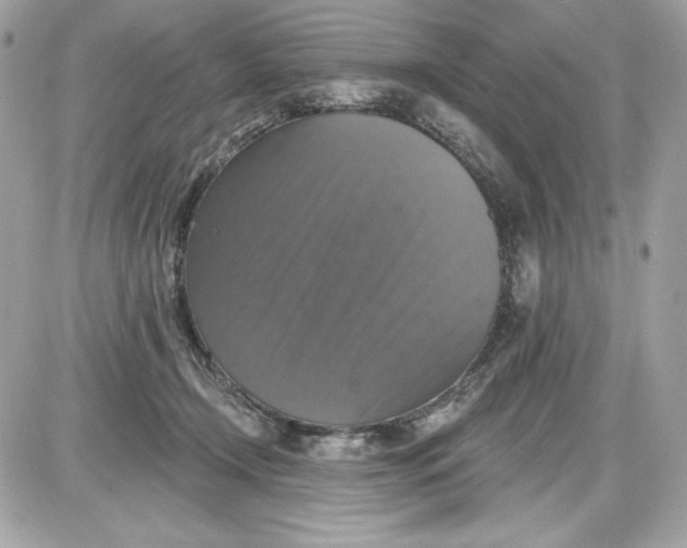 X0000087410366200705111857