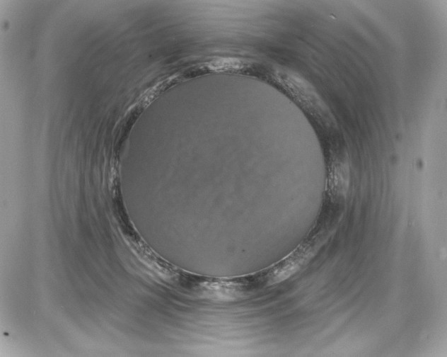 X0000087410367200705111857