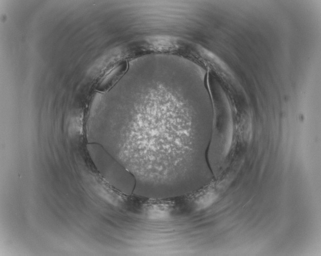 X0000087410368200705111857