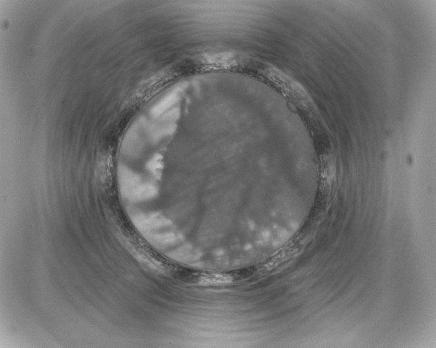 X0000087410369200705111857