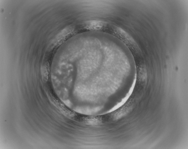 X0000087410370200705111857