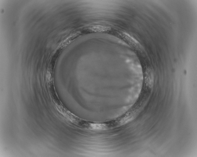 X0000087410371200705111857