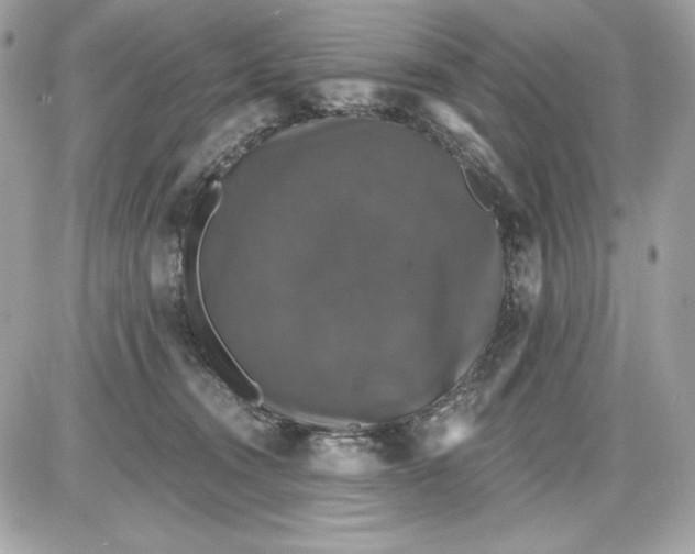 X0000087410372200705111857