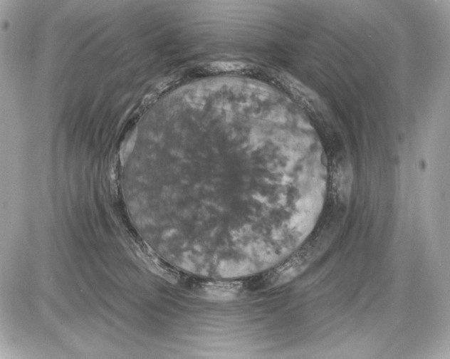 X0000087410373200705111857