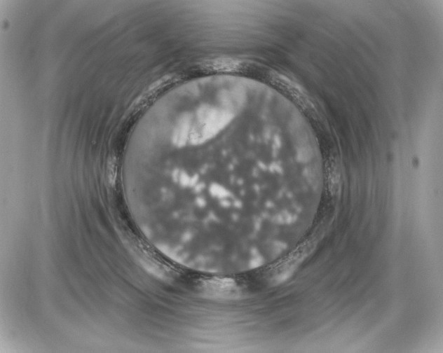 X0000087410374200705111857