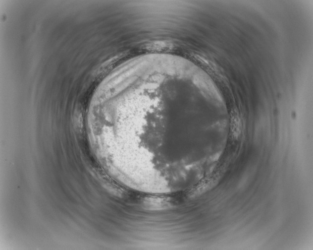 X0000087410375200705111857