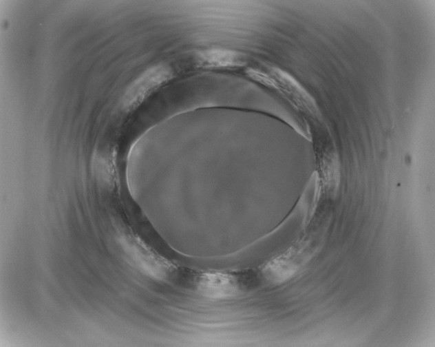 X0000087410376200705111857