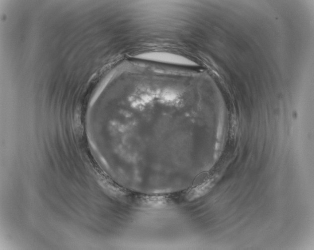 X0000087410377200705111857