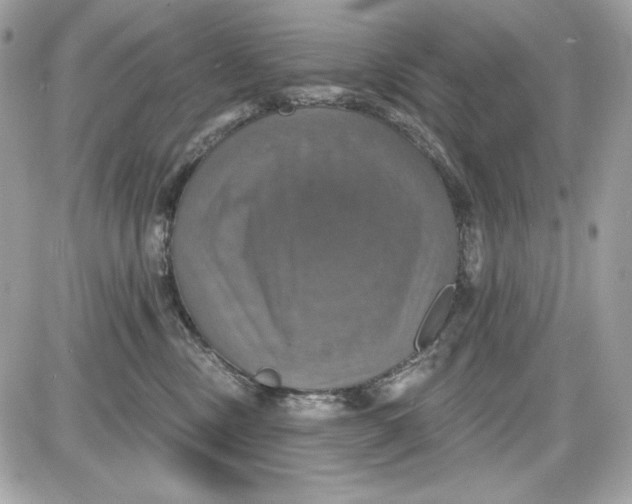 X0000087410378200705111857