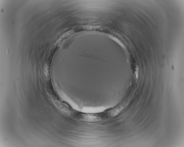 X0000087410380200705111857