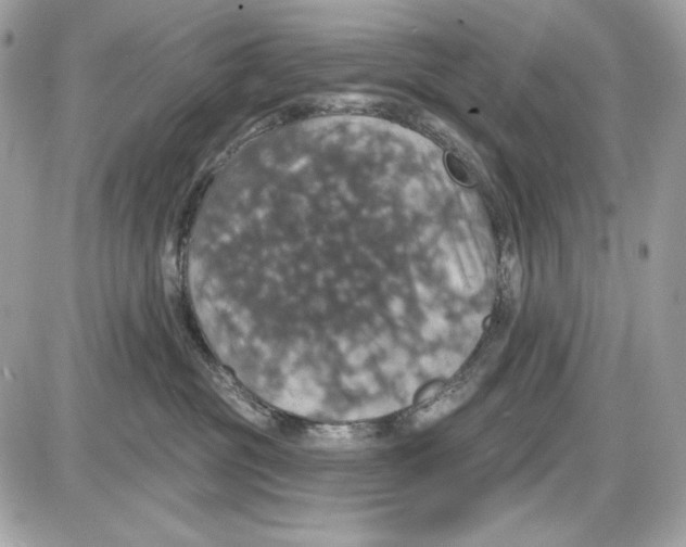 X0000087410381200705111857