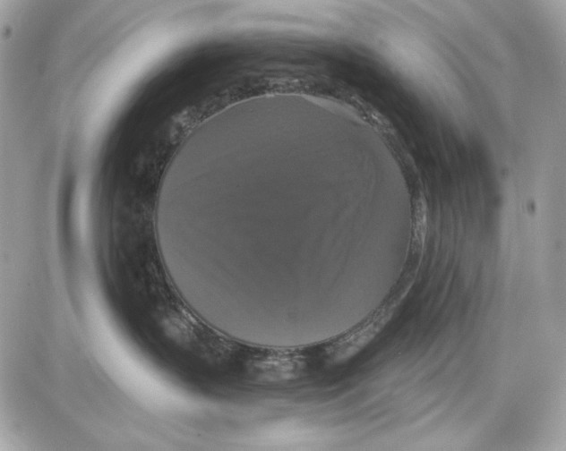 X0000087410383200705111857