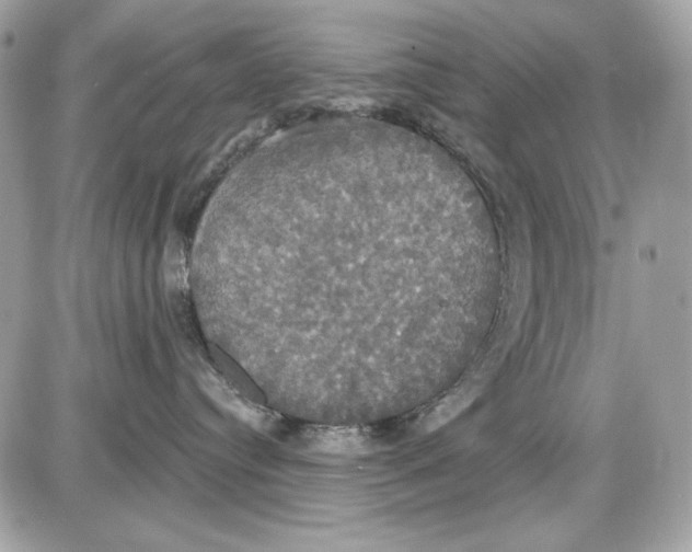 X0000087410384200705111857