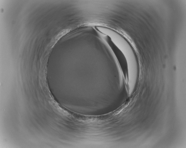 X0000087410385200705111856