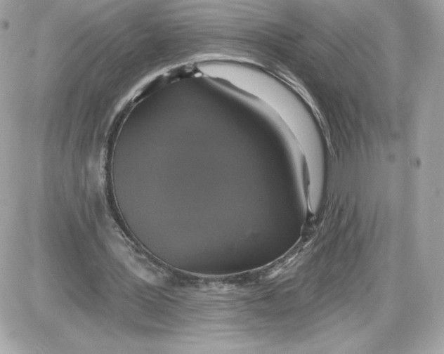 X0000087410387200705111856