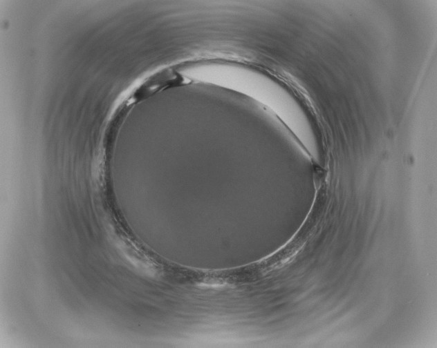 X0000087410388200705111856