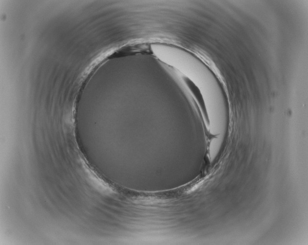 X0000087410389200705111856