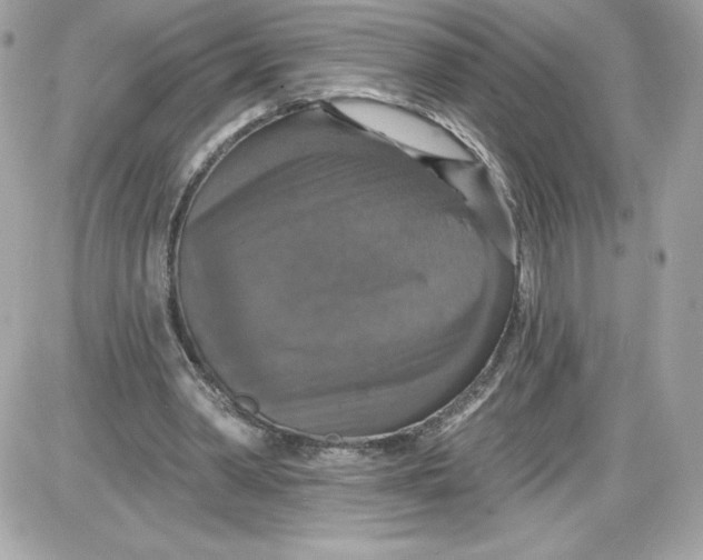 X0000087410390200705111856