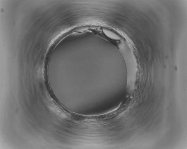 X0000087410391200705111856