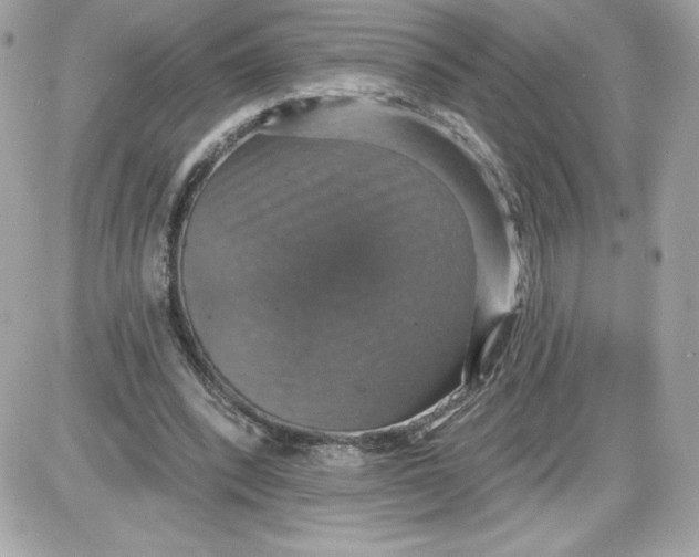 X0000087410392200705111856