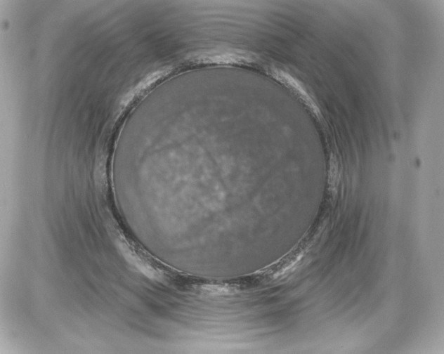 X0000087410394200705111856