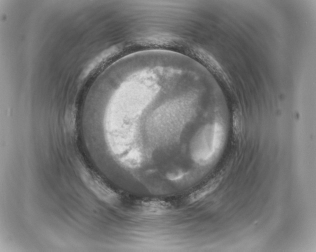 X0000087410396200705111856