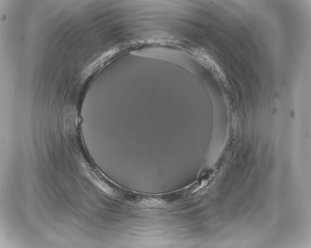 X0000087410397200705111856