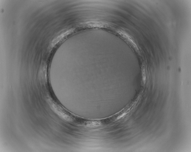 X0000087410398200705111856