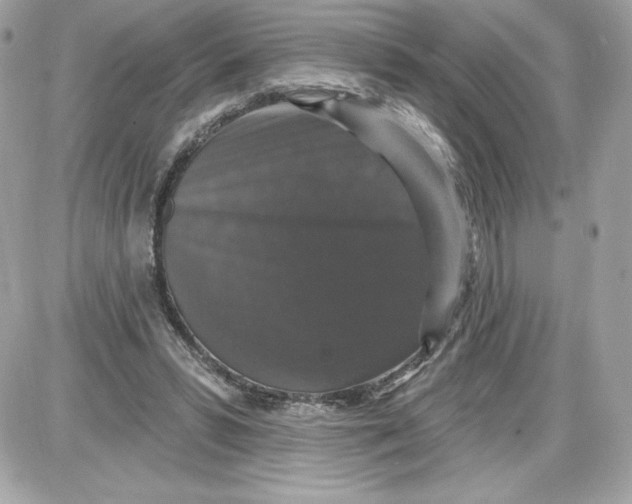 X0000087410399200705111856