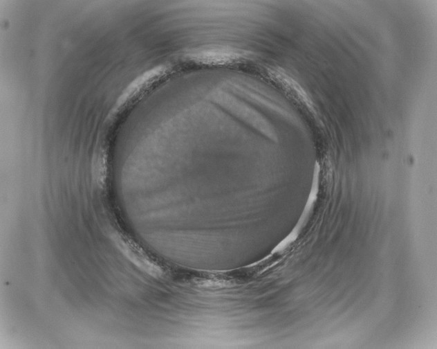 X0000087410400200705111856