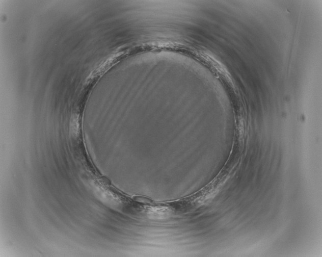 X0000087410401200705111856