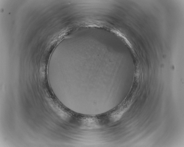 X0000087410402200705111856