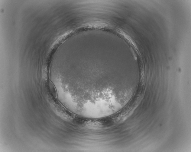 X0000087410403200705111856