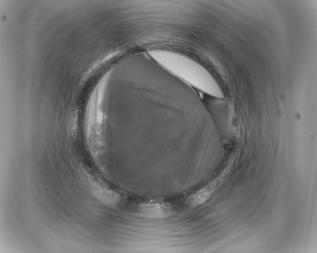 X0000087410404200705111856