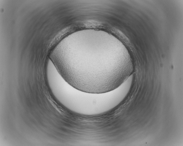 X0000087410405200705111856