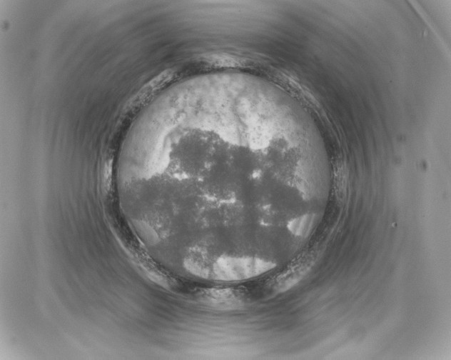 X0000087410406200705111856